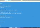 Cheat Launcher for Genshin Impact v2.4 – Chinese & Global